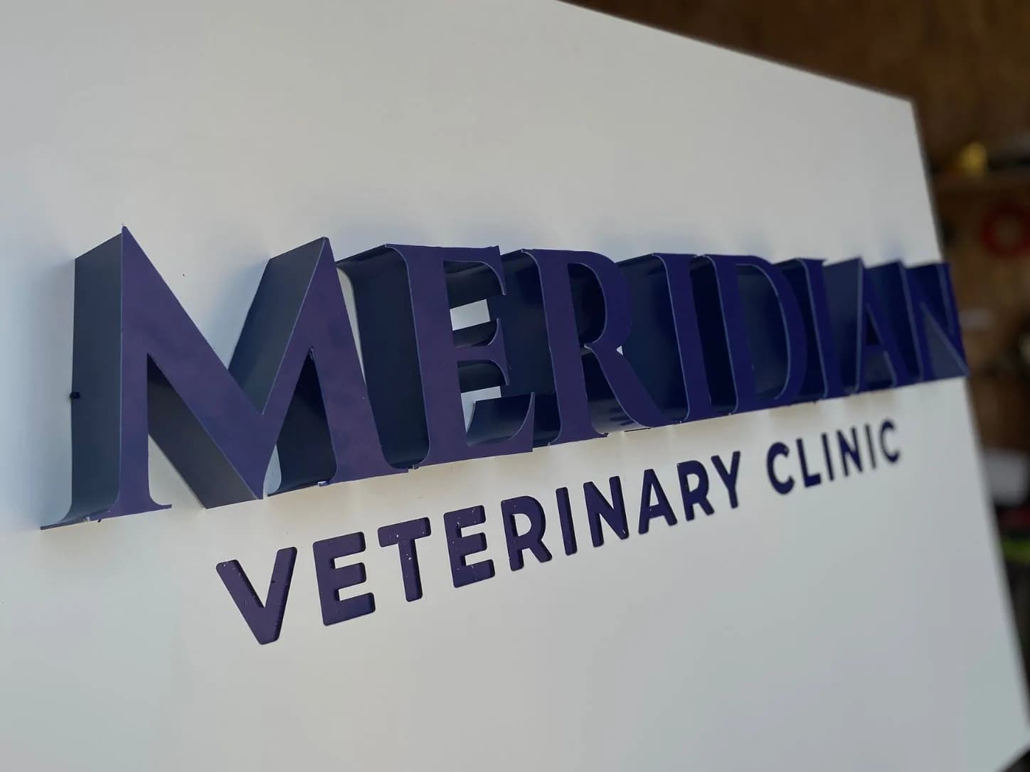Крупний план об’ємних літер MERIDIAN Veterinary Clinic на світлій панелі